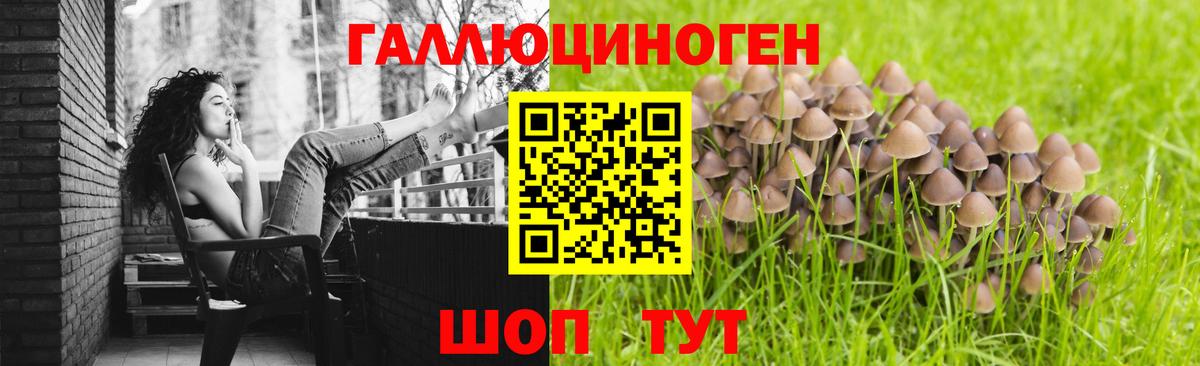 Топки  как найти наркотики  Вход с VPN  Галлюциногенные грибы прущие грибы 