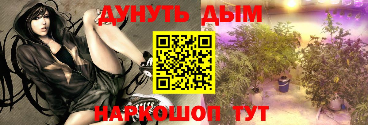 Шишки марихуана SATIVA & INDICA  Вход с VPN  Канабис VHQ  Топки  Шишки марихуана план 